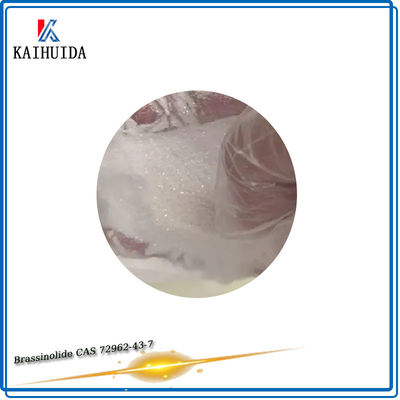ODM-Pflanzenwachstums-Regler-Landwirtschaftschemikalien Brassinolide 90% TC CAS 72962-43-7