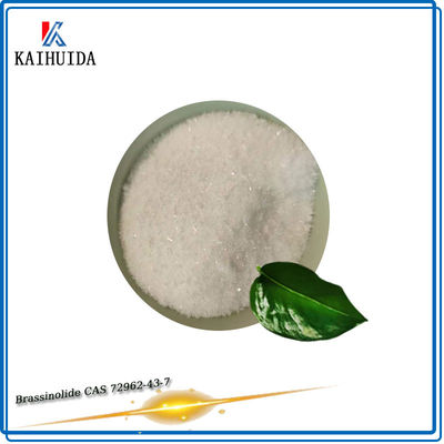 pulverisieren natürlicher Brassinolide Pflanzenwachstums-Regler 0.1%Sp CAS 72962-43-7