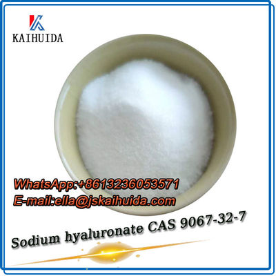 Kosmetik Rohstoff Weißes Pulver Natriumhyaluronat Hyaluronsäure CAS 9067-32-7